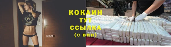 сатива Богданович