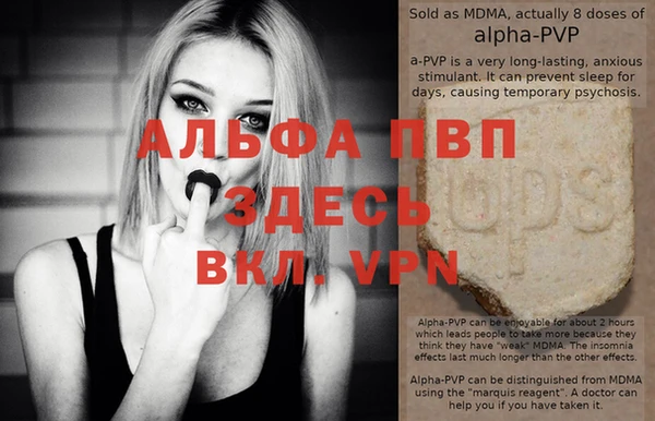 сатива Богданович