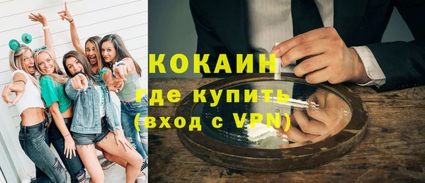 сатива Богданович