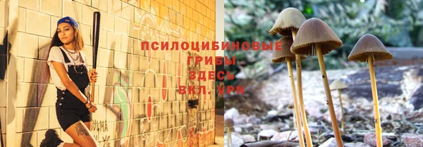 эйфоретик Богородицк